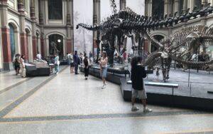 Menschen in der Eingangshalle des Museums für Naturkunde Berlin unter dem großen Skelett eines Dinosauriers