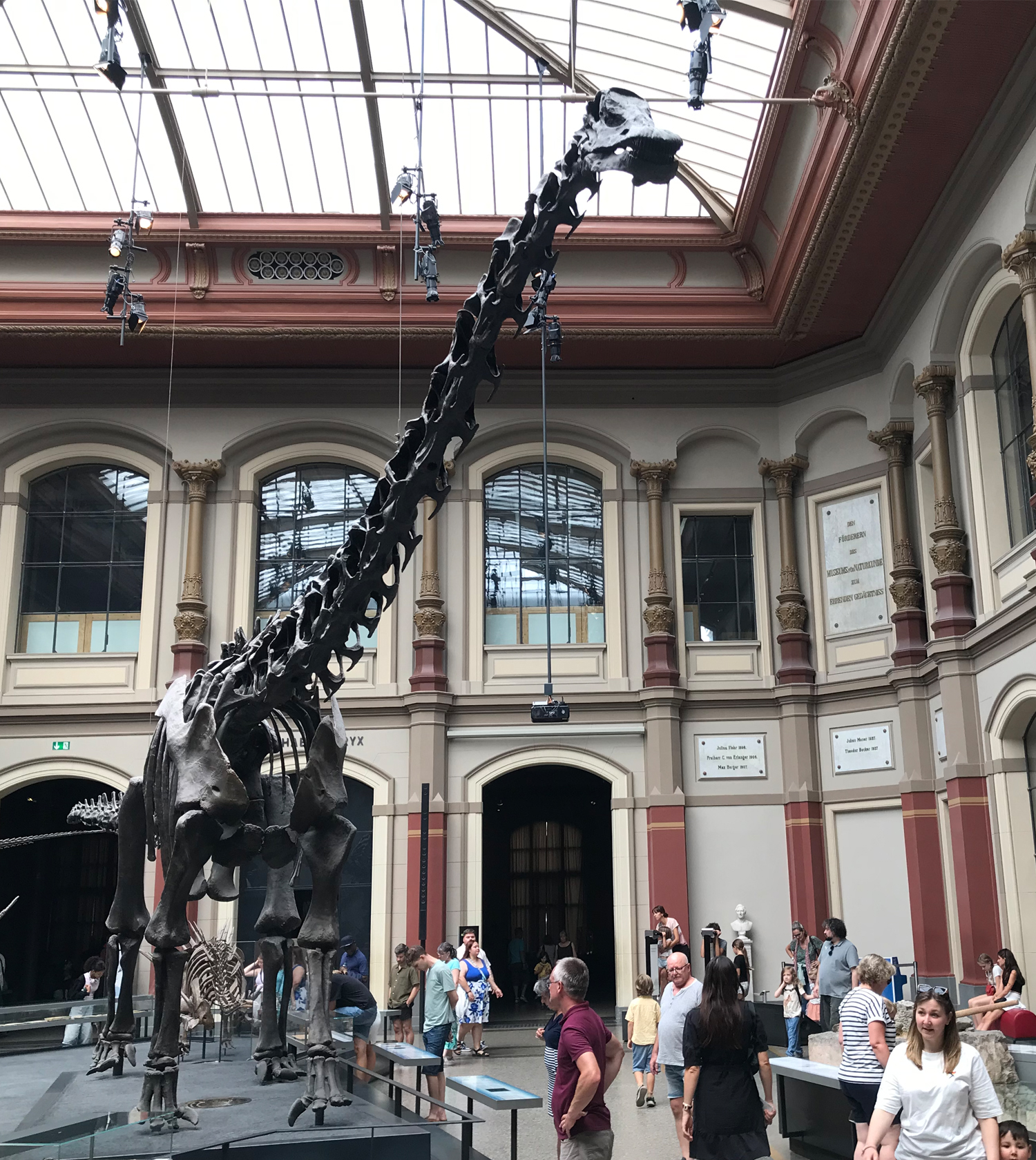 Saal vom Naturkundemuseum mit Dinosaurier